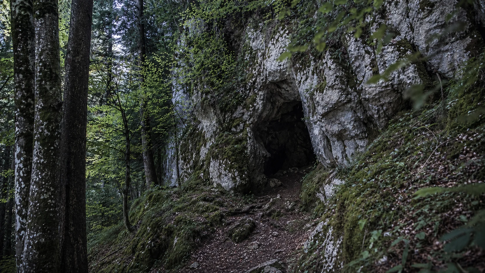 Intrare de peșteră în pădure montană — Tăușoarele și locurile greu de cartografiat